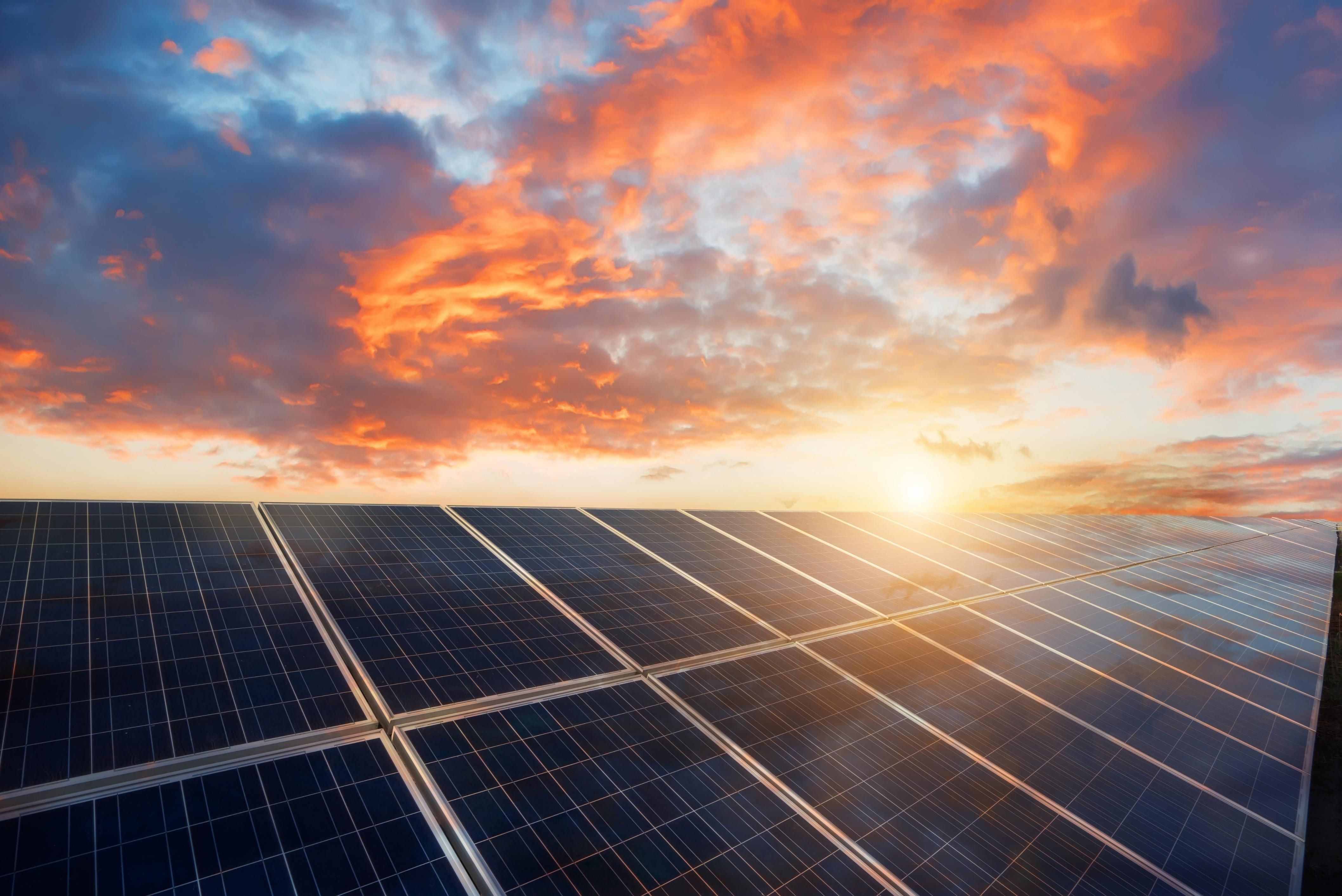 JinkoSolar panels